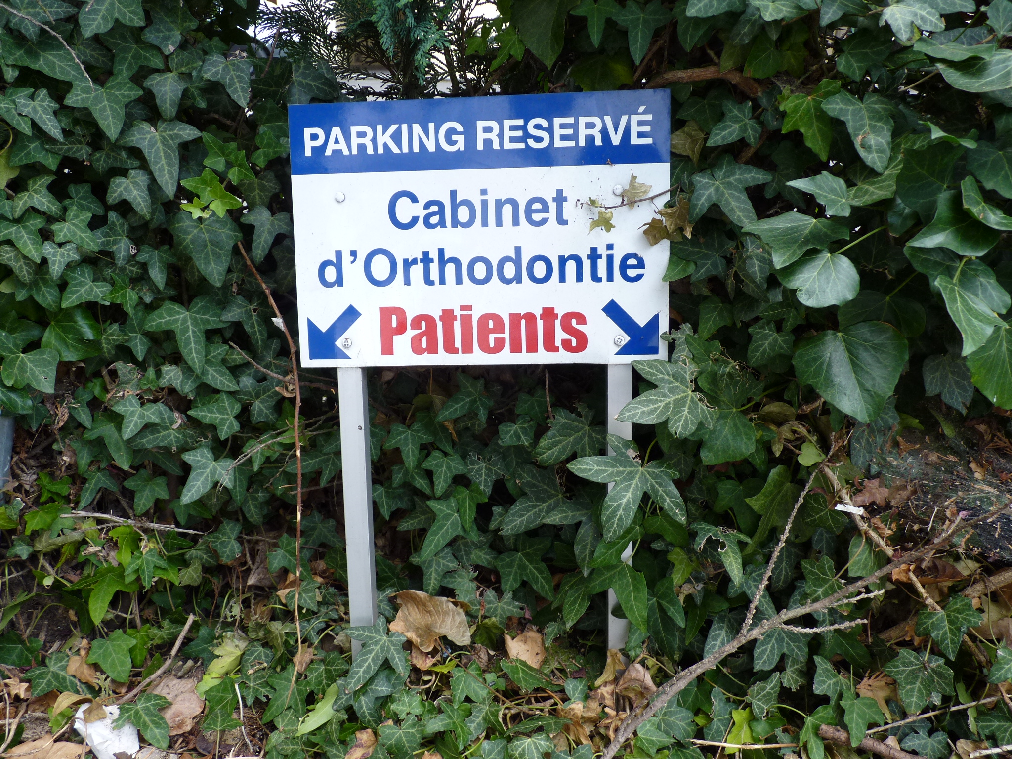Orthodontiste à olivet, Dr Olivier Leveugle